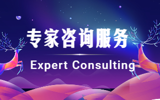专家咨询服务